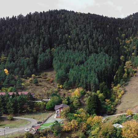 Holiday Borjomi Qvibisi Exteriör bild