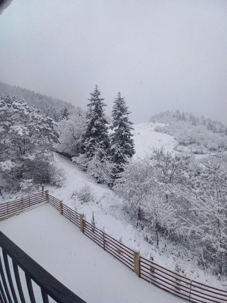 Holiday Borjomi Qvibisi Exteriör bild